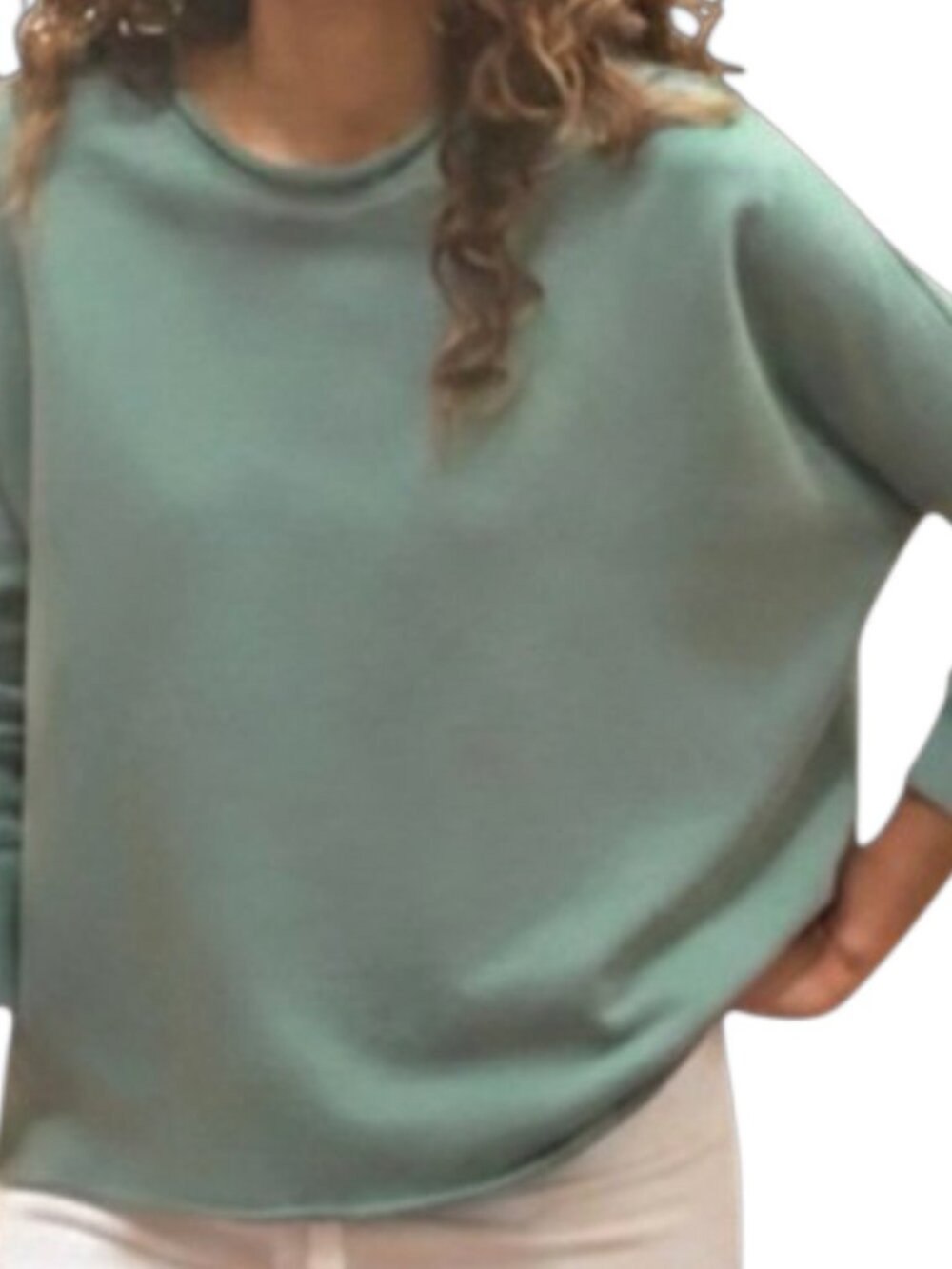 ✨ FRANK & EILEEN Rosemary Green Anna Triple Fleece Sweatshirt L NWOT 🌿